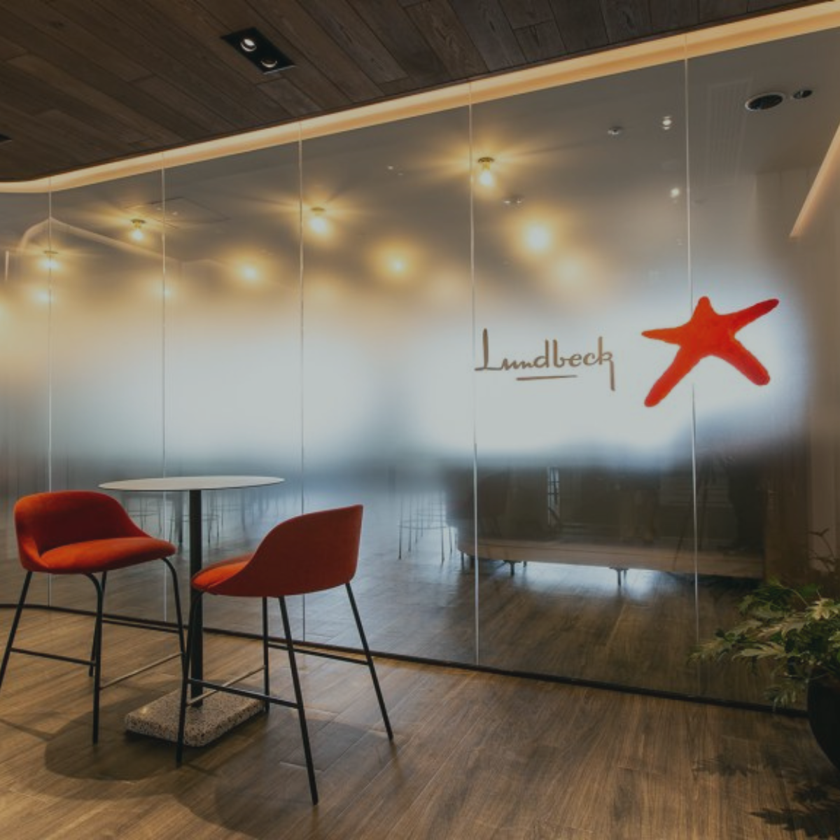 e-learning udvkling til Lundbeck